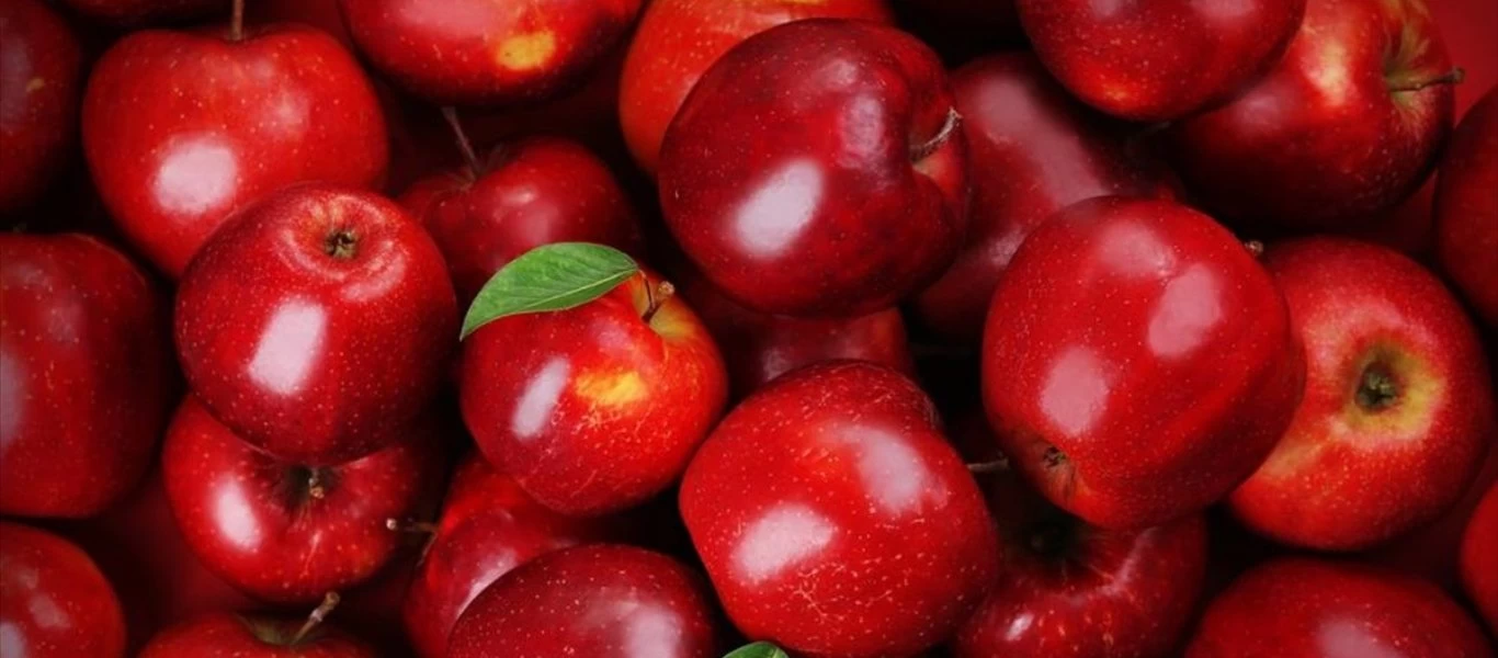 Δέκα τροφές με χαμηλά οξαλικά - Εμποδίζουν την δημιουργία πέτρας στους νεφρούς